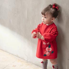 Red baby dress with embroidered pomegranate flowers