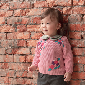 Dusty pink baby sweater with butterfly and pomegranate motif