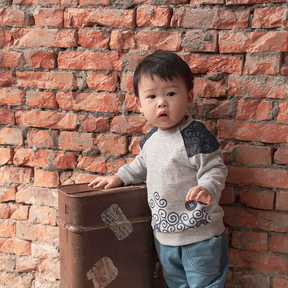 Light heather grey baby sweatshirt with coin motif