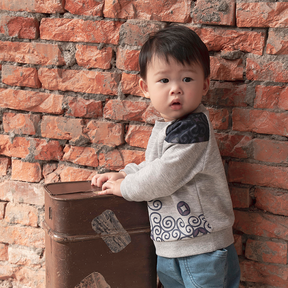 Light heather grey baby sweatshirt with coin motif