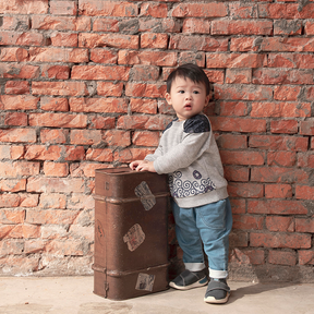 Light heather grey baby sweatshirt with coin motif