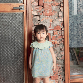 <tc>Celadon baby dress with petal shaped collar</tc>