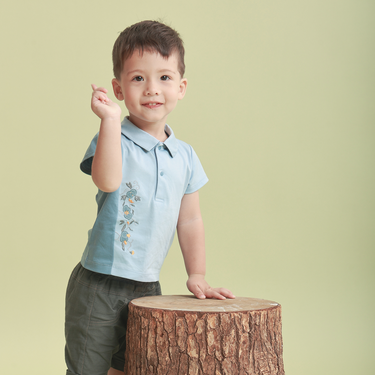 <tc>Sky Blue baby polo with fruits appliqué</tc>