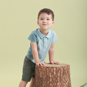 <tc>Sky Blue baby polo with fruits appliqué</tc>