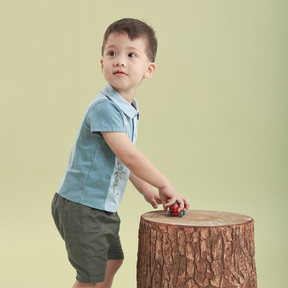 <tc>Sky Blue baby polo with fruits appliqué</tc>