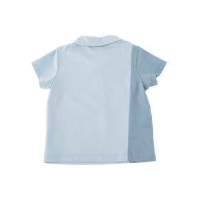 <tc>Sky Blue baby polo with fruits appliqué</tc>