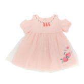 <tc>Pastel peach baby tutu dress</tc>